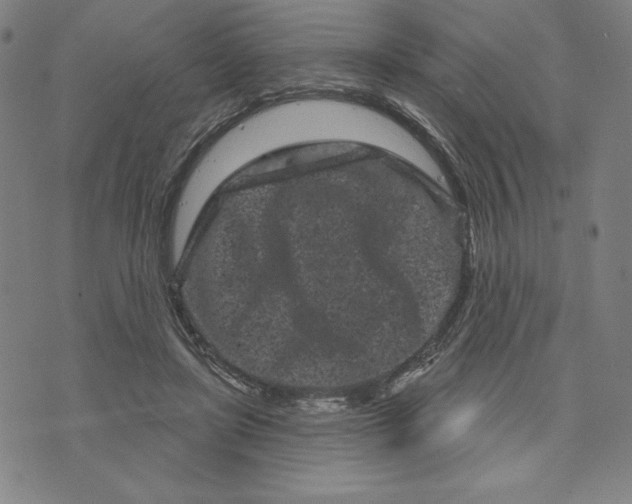 X0000073740451200608241326