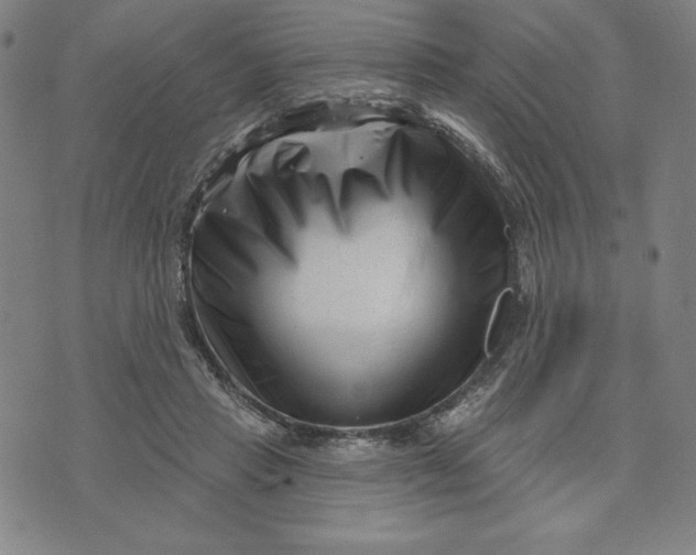 X0000073740453200608241326