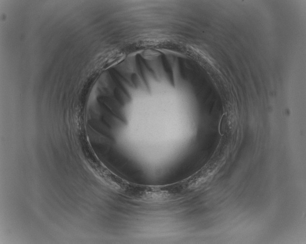 X0000073740455200608241326