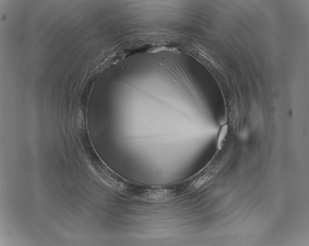 X0000073740459200608241326