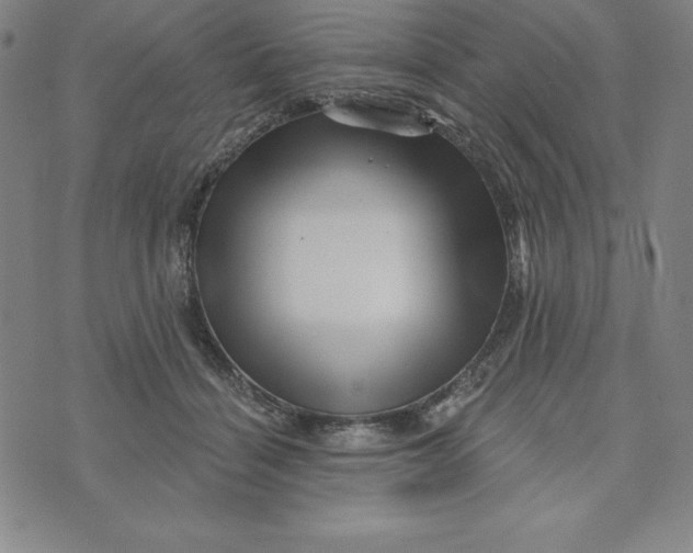 X0000073740460200608241326