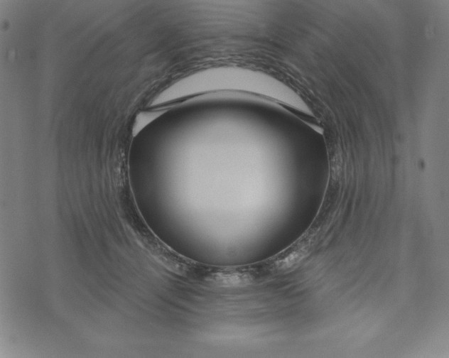 X0000073740464200608241326