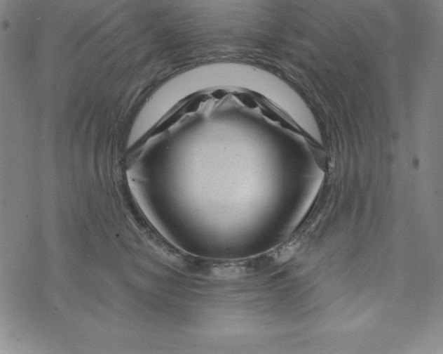 X0000073740470200608241326