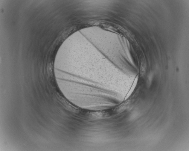 X0000073740473200608241326