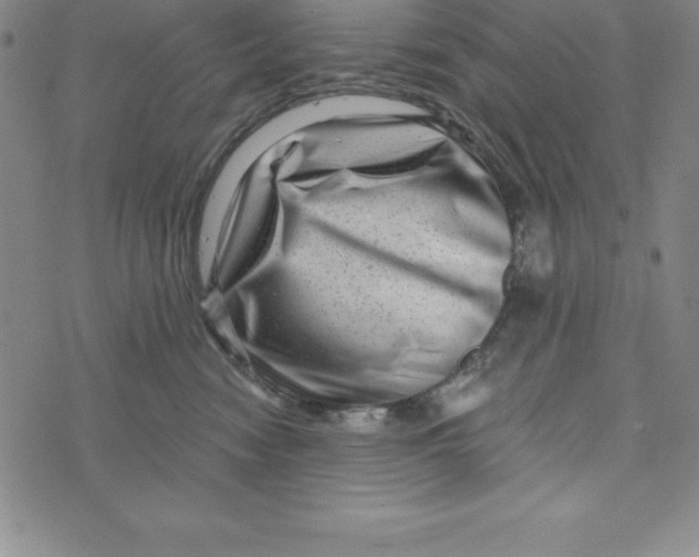 X0000073740474200608241326