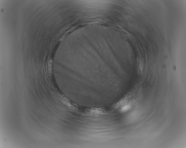 X0000073740475200608241326