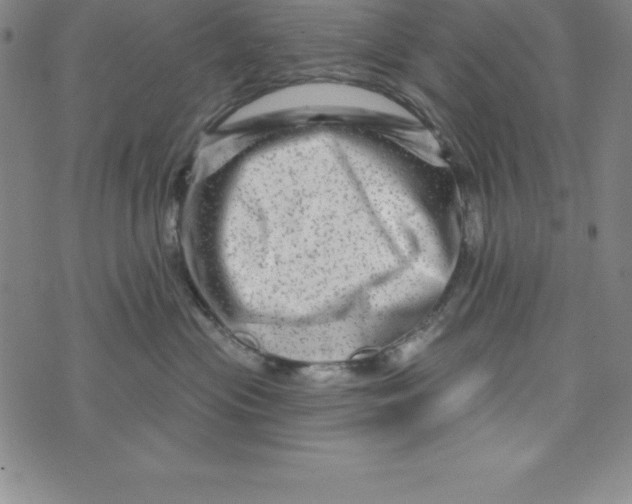 X0000073740477200608241326
