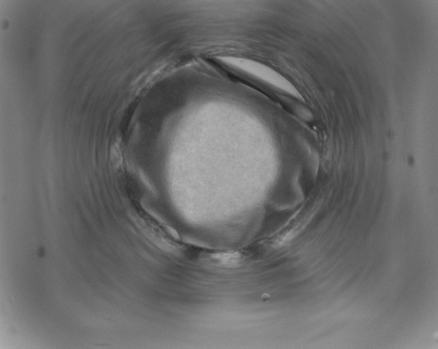 X0000073740478200608241326
