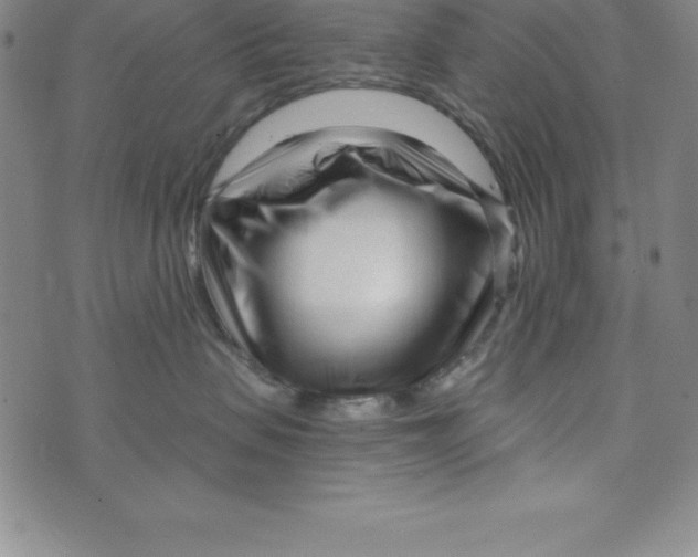 X0000073740479200608241326