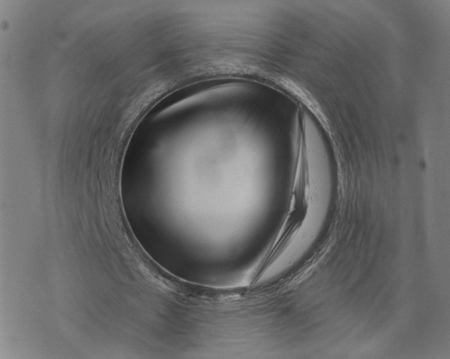 X0000073740481200608241326