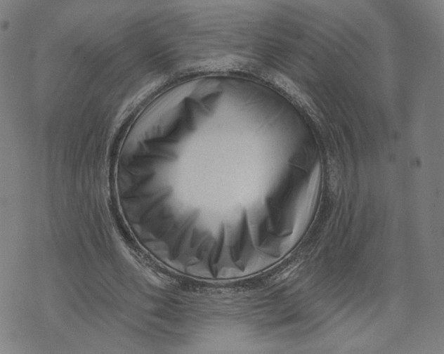 X0000073740486200608241326