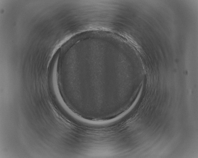 X0000073740488200608241326