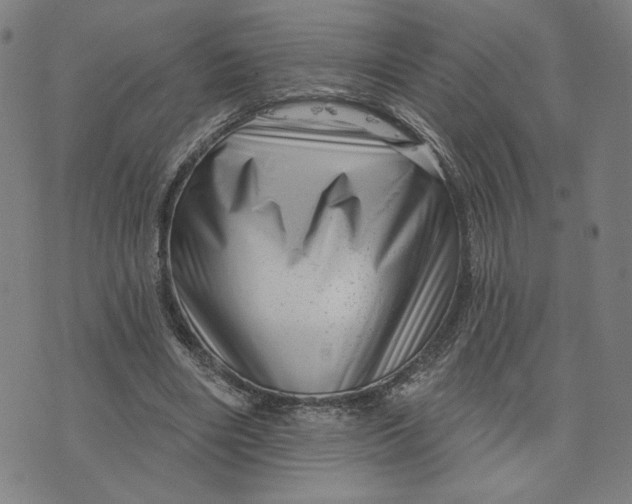 X0000073740490200608241326