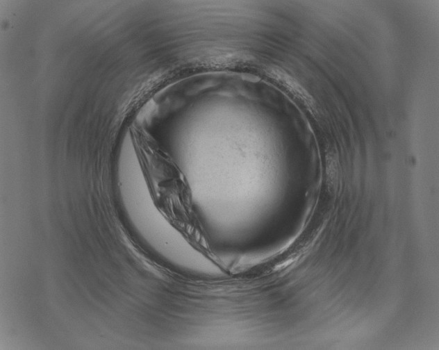 X0000073740493200608241326