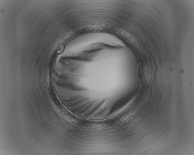 X0000073740494200608241326