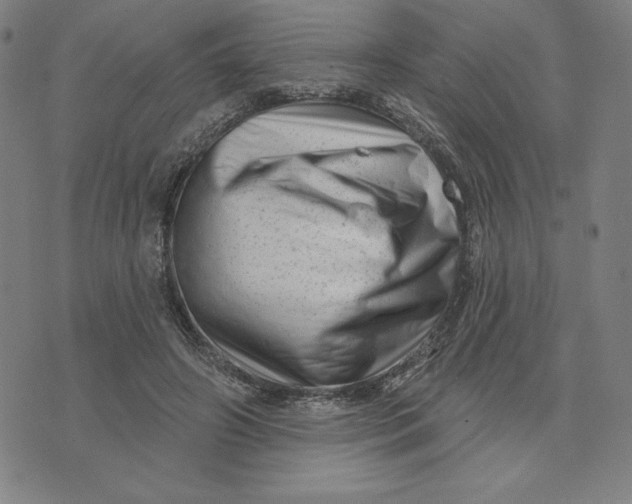 X0000073740498200608241325