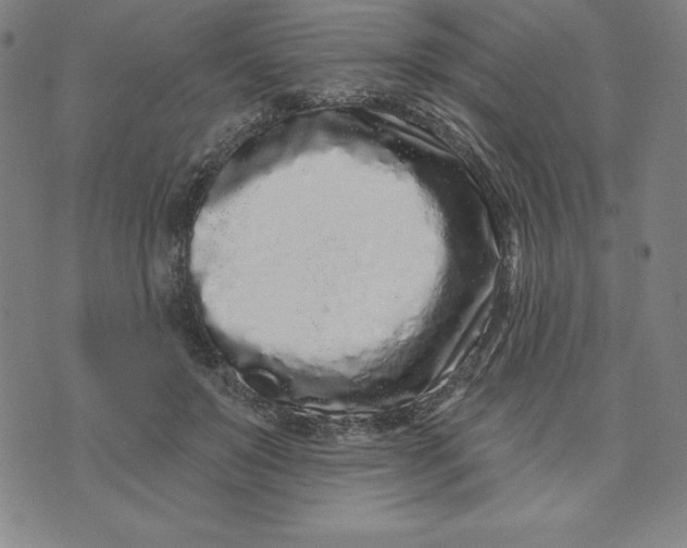 X0000073740503200608241325