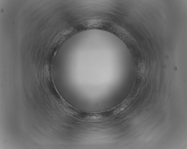 X0000073740506200608241325