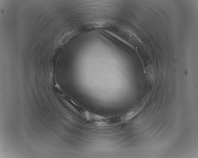 X0000073740509200608241325