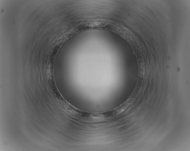 X0000073740510200608241325