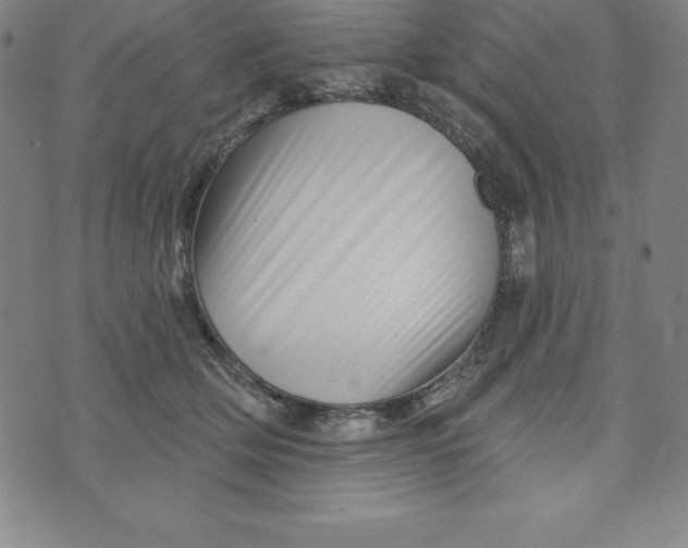X0000073740514200608241325