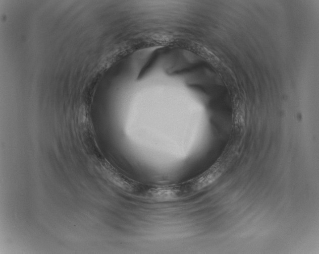 X0000073740518200608241325