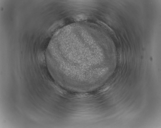 X0000073740523200608241325