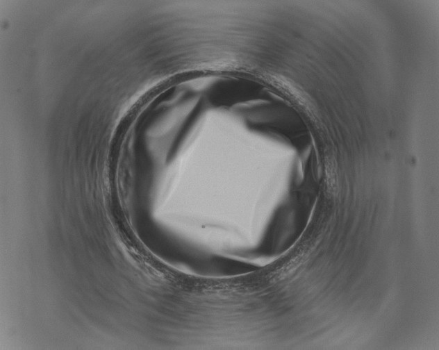 X0000073740532200608241324