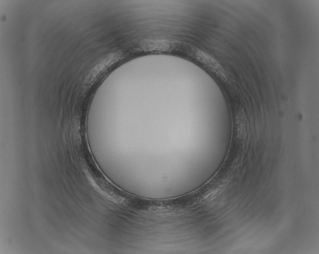 X0000073740538200608241324