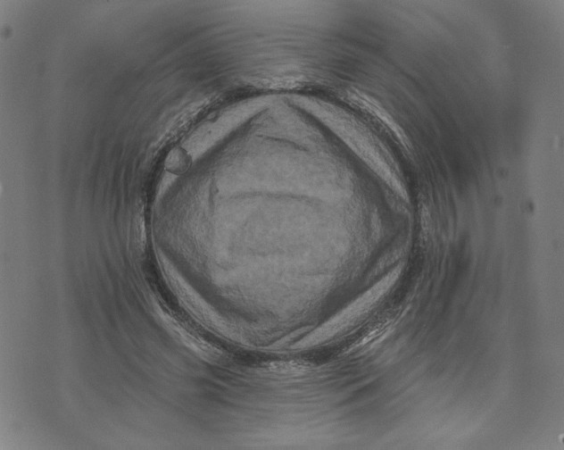X0000073740541200608241324