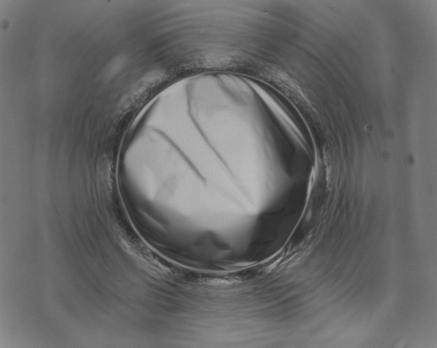 X0000073740542200608241324