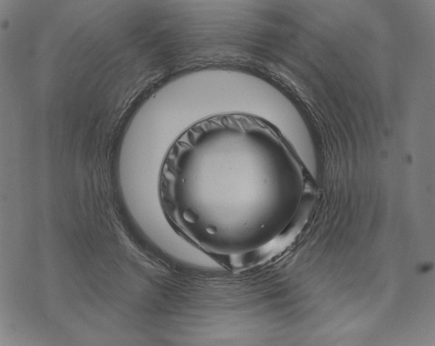 X0000073740546200608241324