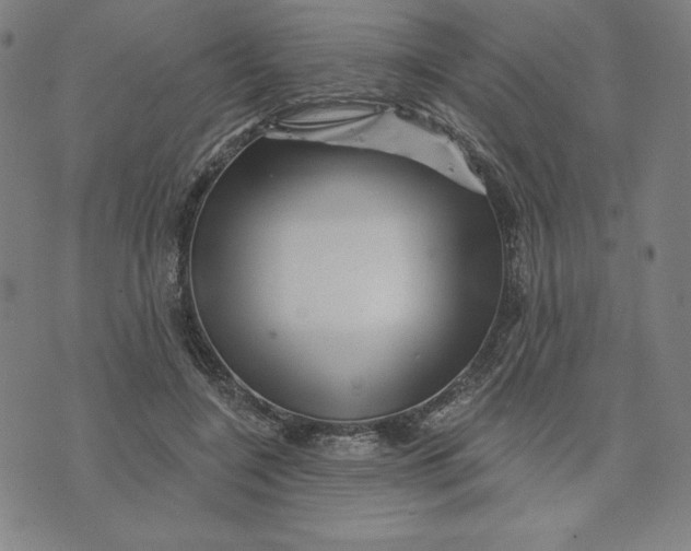 X0000073740548200608241325