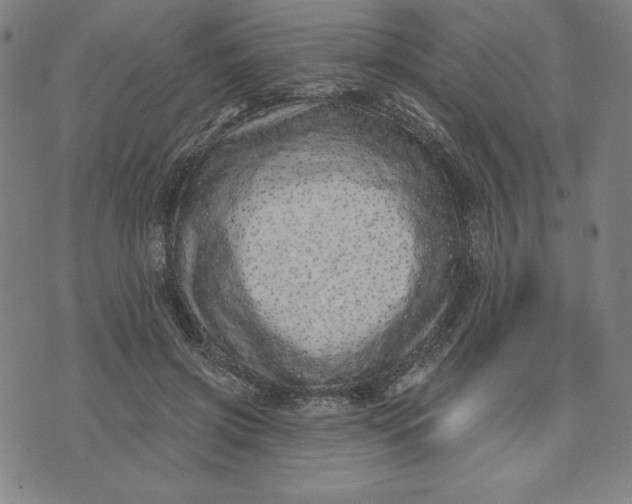 X0000073740549200608241325