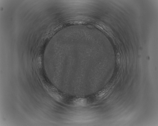 X0000073740551200608241325