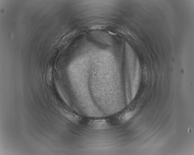 X0000073740554200608241325