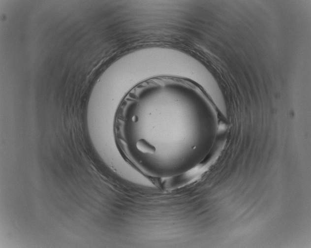 X0000073740556200608241325