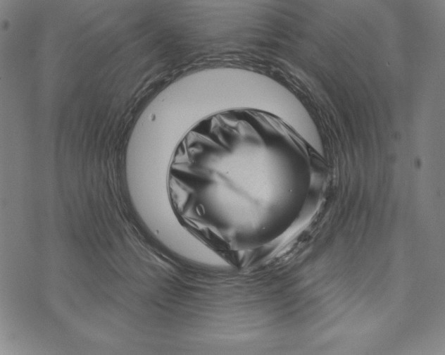 X0000073740558200608241325