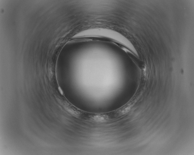 X0000073740566200608241325
