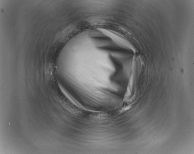 X0000073740567200608241325
