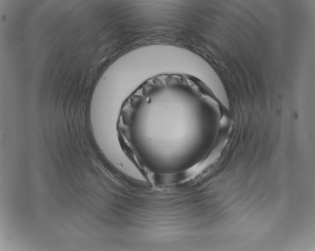 X0000073740568200608241325