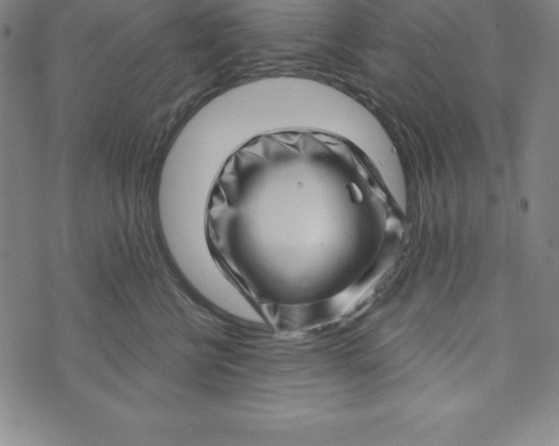 X0000073740570200608241325