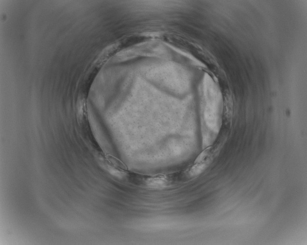 X0000073740574200608241325