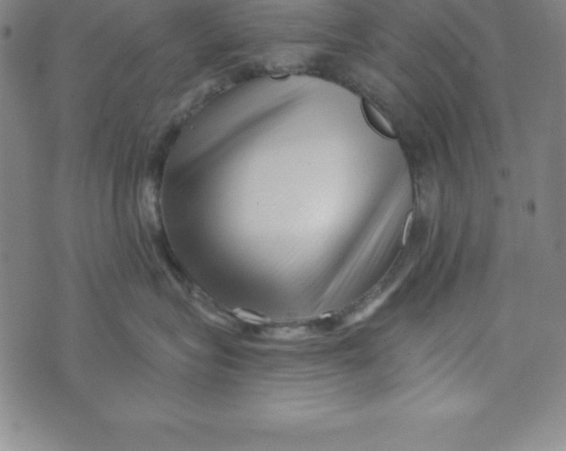 X0000073740575200608241325