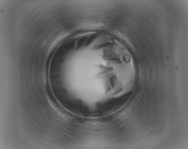 X0000073740582200608241324