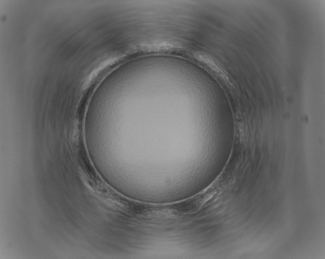 X0000073740583200608241324