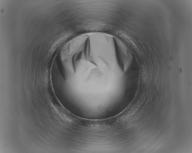 X0000073740586200608241324