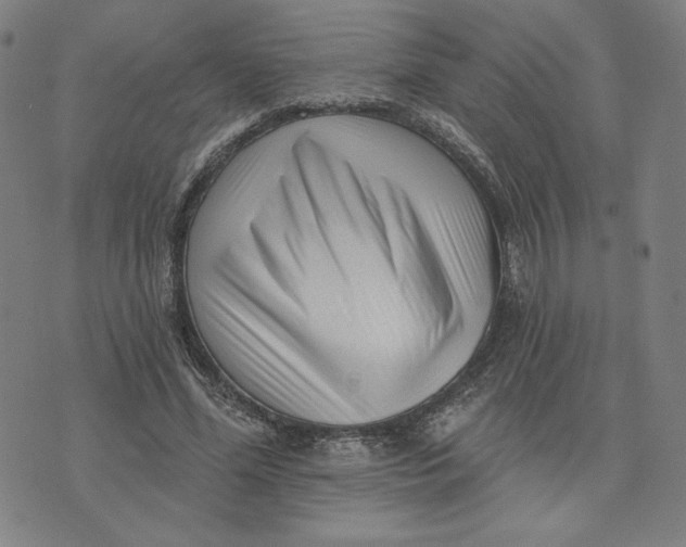 X0000073740588200608241324