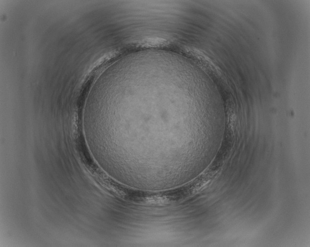 X0000073740591200608241324