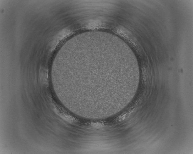 X0000073740592200608241324